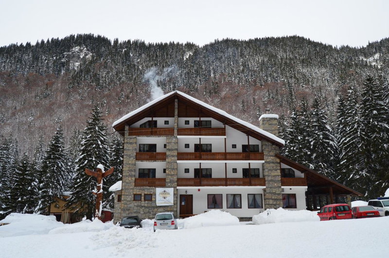 Conacul Ursului, Arefu, Romania