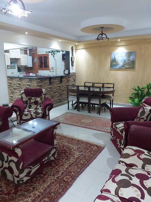 ميامي جلوبال, Alexandria, Egypt