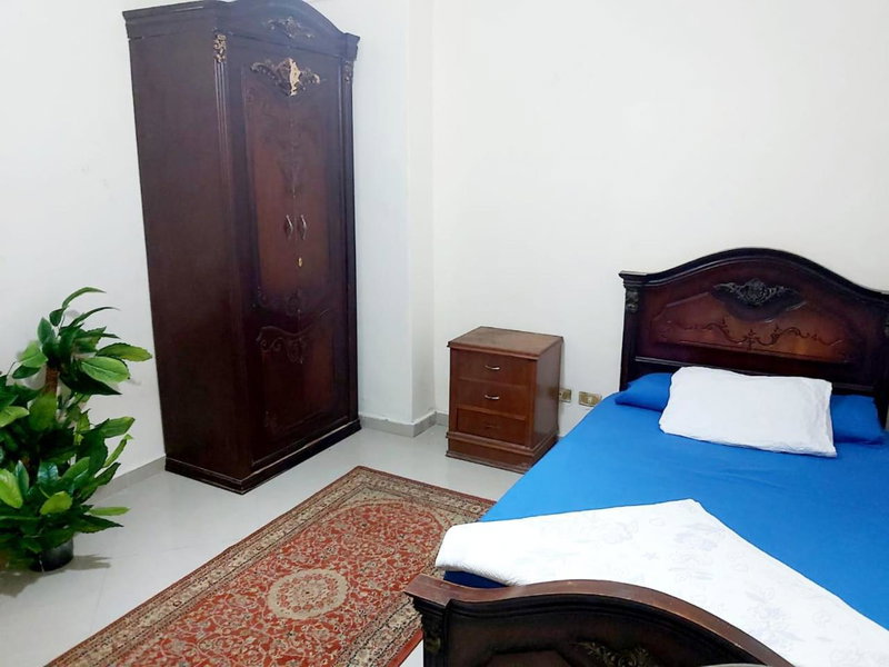 ميامي جلوبال, Alexandria, Egypt