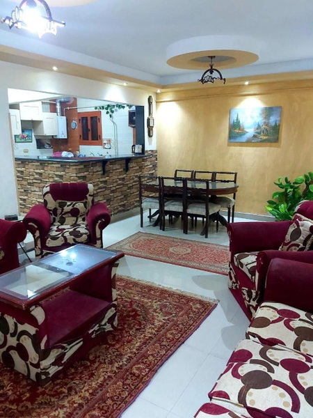 ميامي جلوبال, Alexandria, Egypt