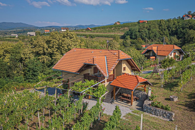 Vineyard Cottage Brodaric, Metlika, Slovenia