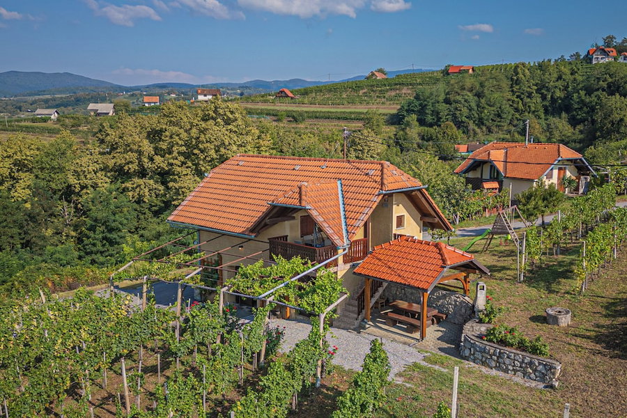 Vineyard Cottage Brodaric, Metlika, Slovenia