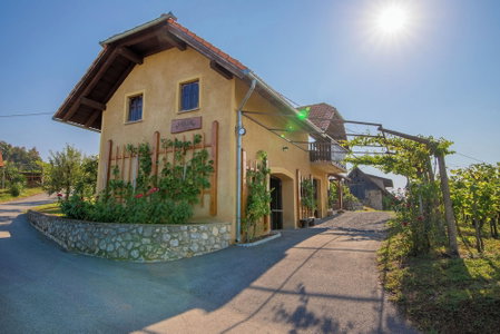 Vineyard Cottage Brodaric, Metlika, Slovenia