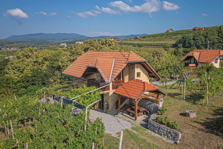 Vineyard Cottage Brodaric, Metlika, Slovenia