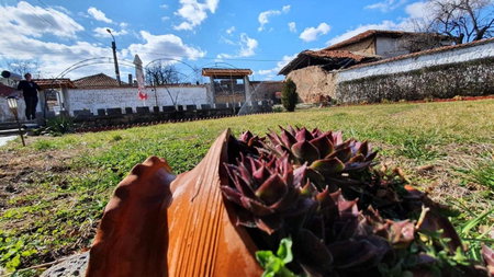 Къща За Гости Уют Guest House Cozy, Starosel, Bulgaria