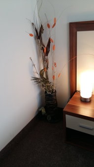 Family Hotel Bulgaria, Kharmanli, Bulgaria