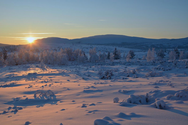 Spidsbergseter Resort Rondane, Venabygd, Norway