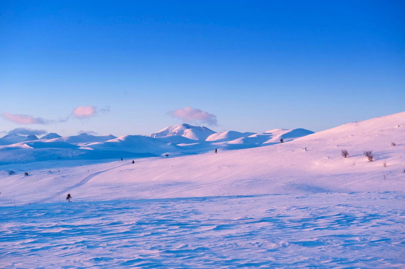 Spidsbergseter Resort Rondane, Venabygd, Norway