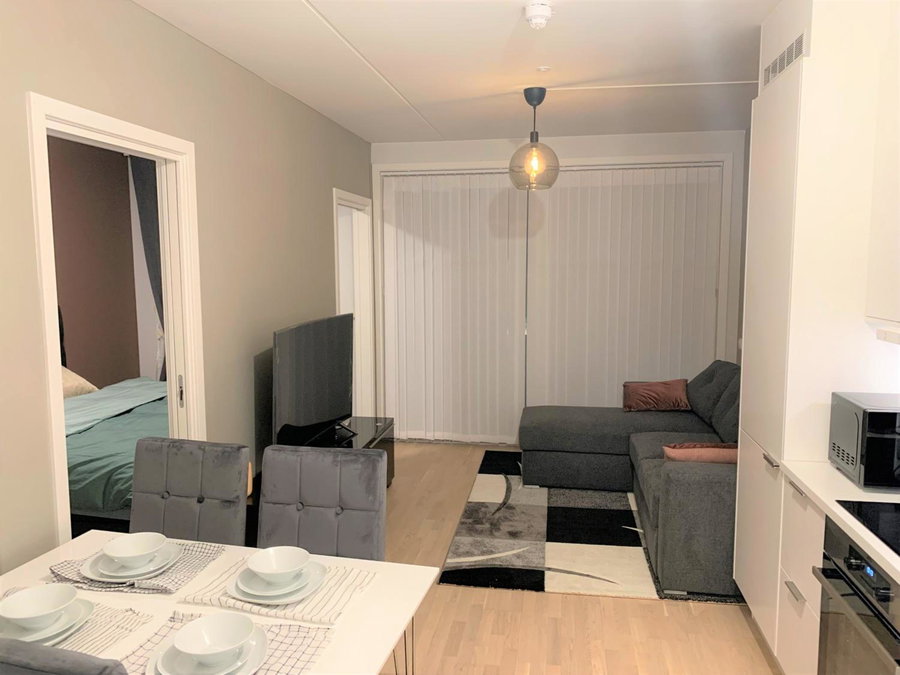Scandpoint Apartments OSLO ski in ski out all year in SNOOSLO with Free Parking, Høybråten, Norway