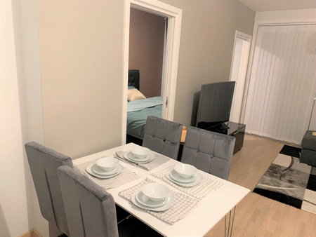Scandpoint Apartments OSLO ski in ski out all year in SNOOSLO with Free Parking, Høybråten, Norway