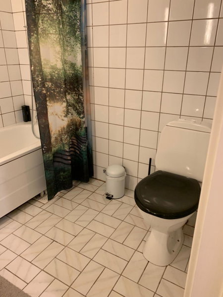 Cozy & private room in the middle of Lofoten, Leknes, Norway