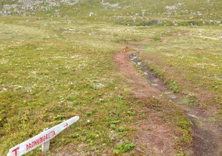 NyksundRom, Nyksund, Nyksund, Norway