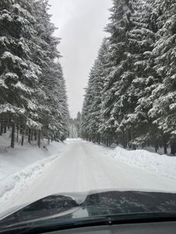 Chata Veverička Oravská Lesná, Oravská Lesná, Словакия
