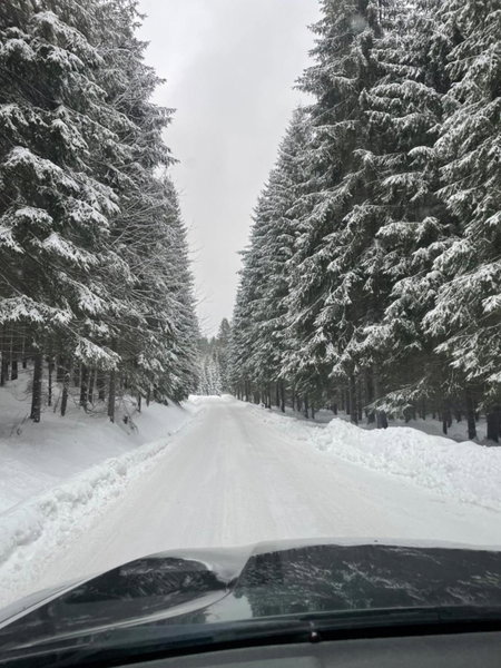 Chata Veverička Oravská Lesná, Oravská Lesná, Словакия