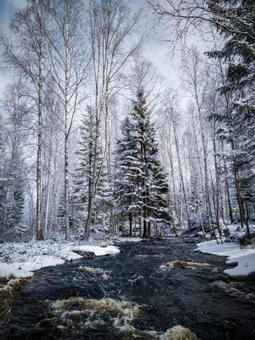 Venejoen Piilo - Päre, Kontiolahti, Finland