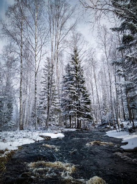 Venejoen Piilo - Päre, Kontiolahti, Finland