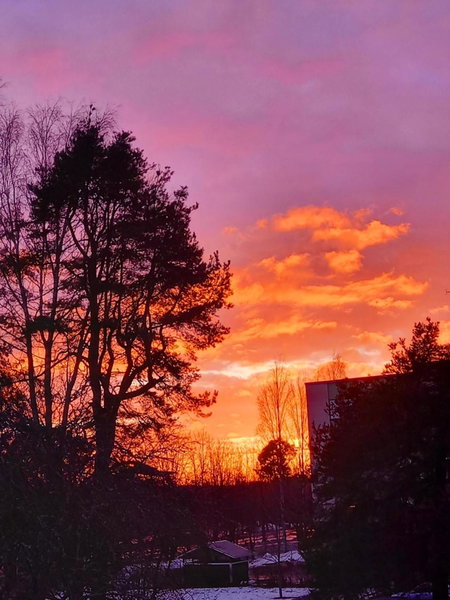 Citykoti, Varkaus, Finland
