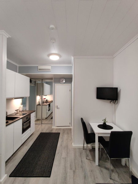 Alexi Apartments - Newly Renovated Apt in the Heart of the City near to Railway Station and Nokia Arena, Tampere, Finland