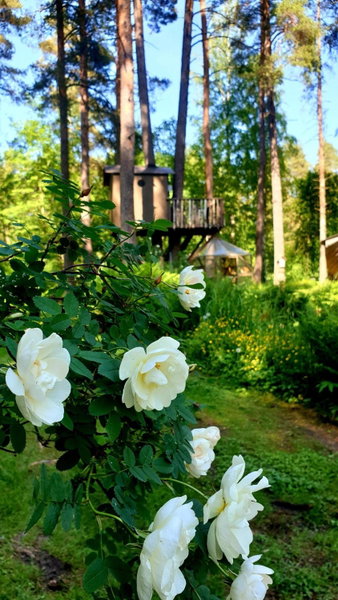 Urpolan Kartano Ky, Loimaa, Finland