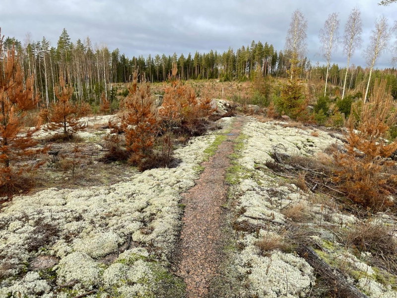 Angervo, Miehikkälä, Finland