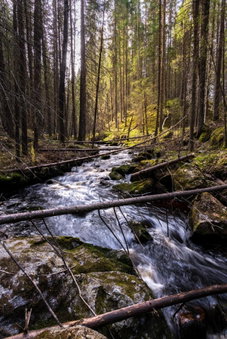 Visit Hautakylä, Hautakylä, Finland