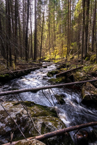 Visit Hautakylä, Hautakylä, Finland