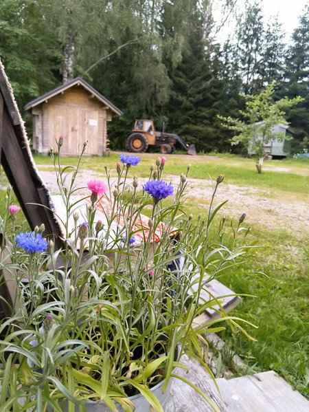 Kulttuurikartano Pekan Pirtit, Haapavesi, Finland