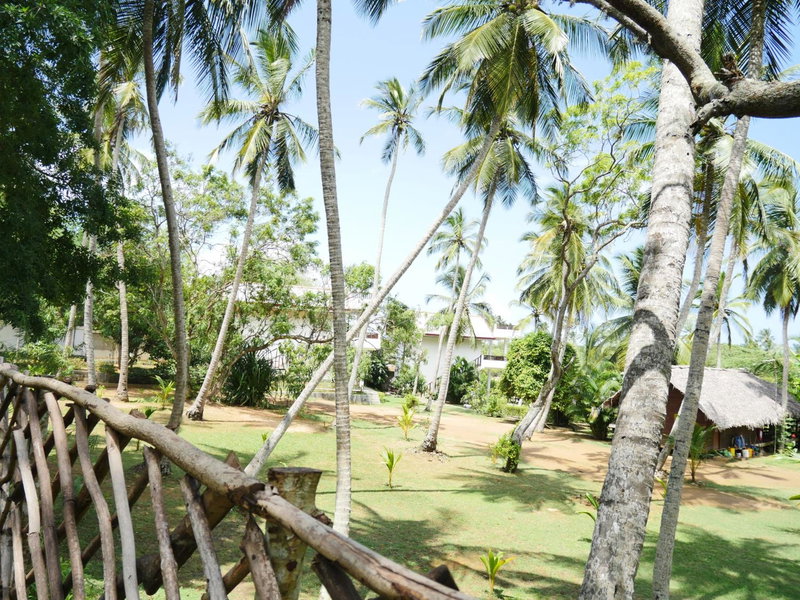 Hideaway Lodge, Tangalle, Sri Lanka