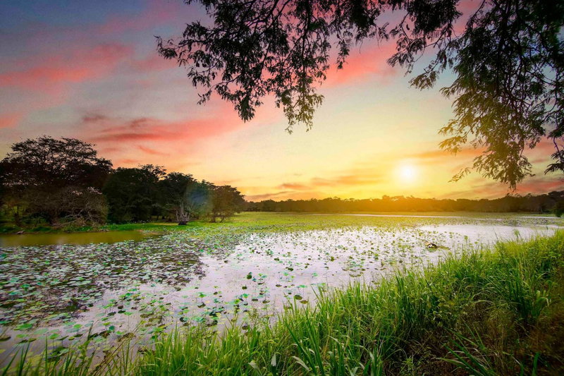 Elephas Resort & Spa, Sigiriya, Sri Lanka