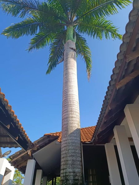 Old Klang Road Homestay Dungun, Dungun, Malaysia