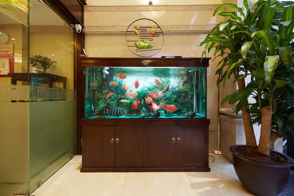 Hotel · Hanoi Calido Hotel, Hanoi
