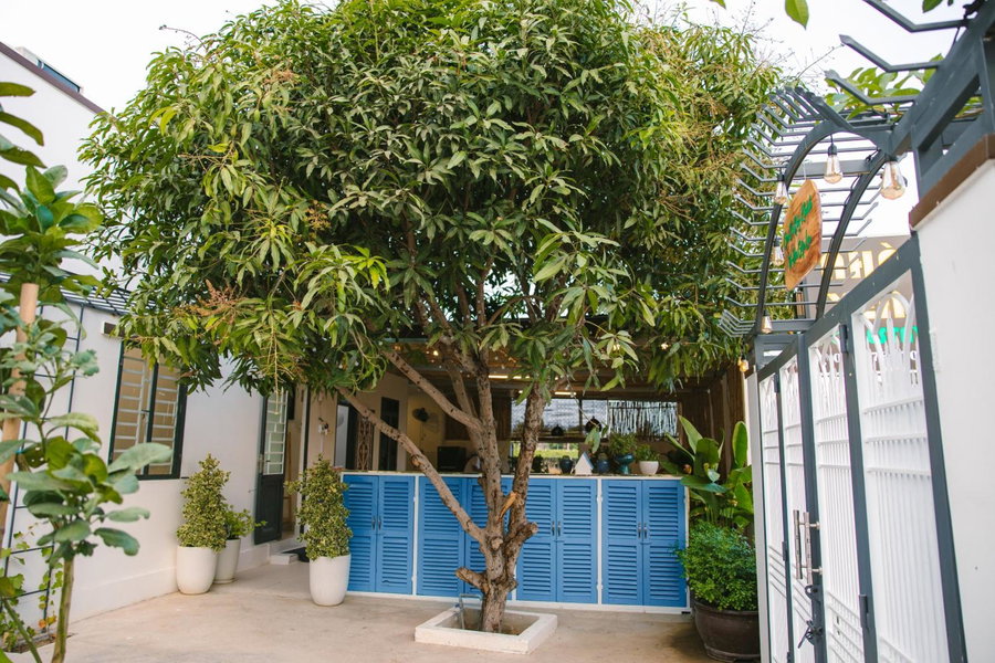 Nhà Yên Homestay Phan Rang, Kinh Dinh, Vietnam