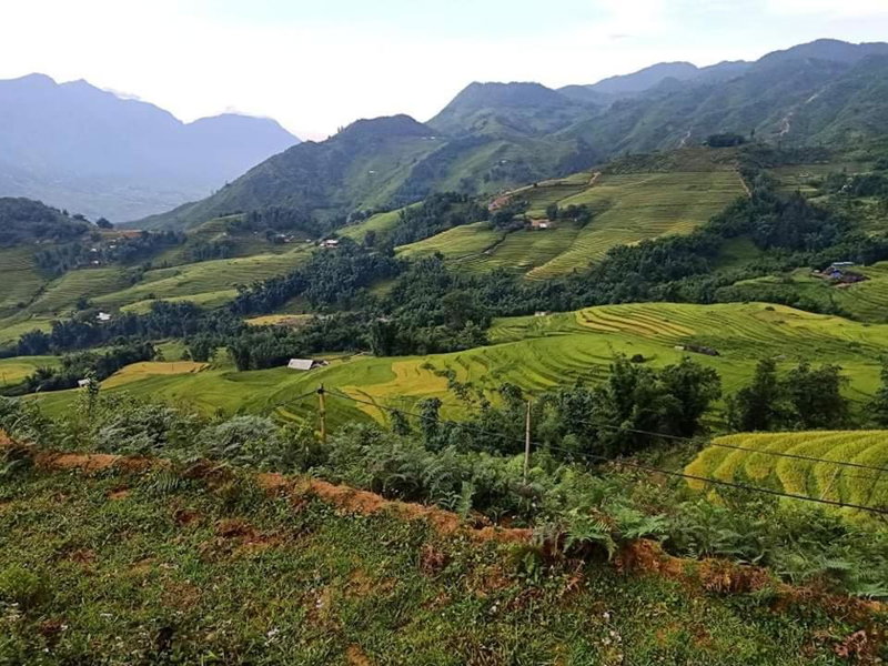 Mama Gia Homestay, Sa Pa, Vietnam