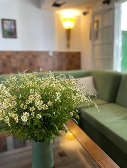 Doc May Boutique Villa, Da Lat, Vietnam