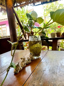 Thai Guesthouse, Kanchanaburi, Thailand