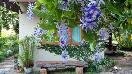 Rai Lung Tui Homestay, Prachuap Khiri Khan, Thailand