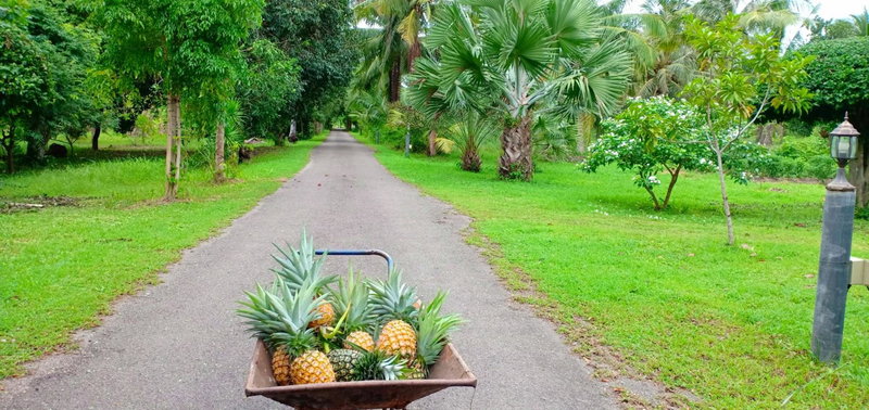 Rai Lung Tui Homestay, Prachuap Khiri Khan, Thailand
