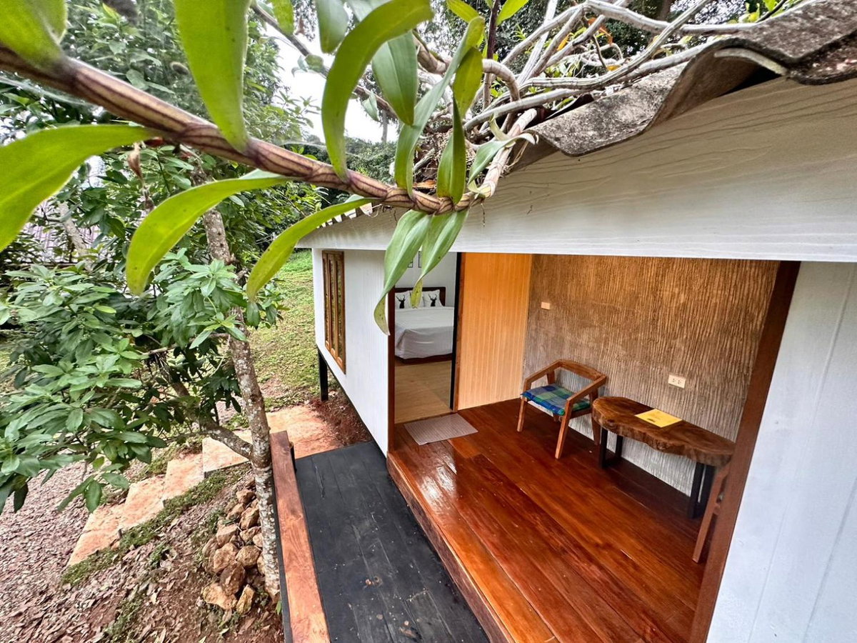Jungle guest house, Thailand