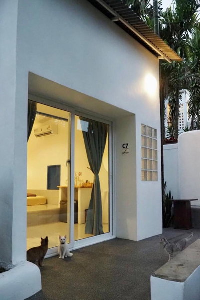 Canary Guesthouse, Pai, Thailand