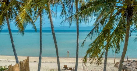 INFINITY Beach Club - Hostel, Ko Pha-ngan, Thailand