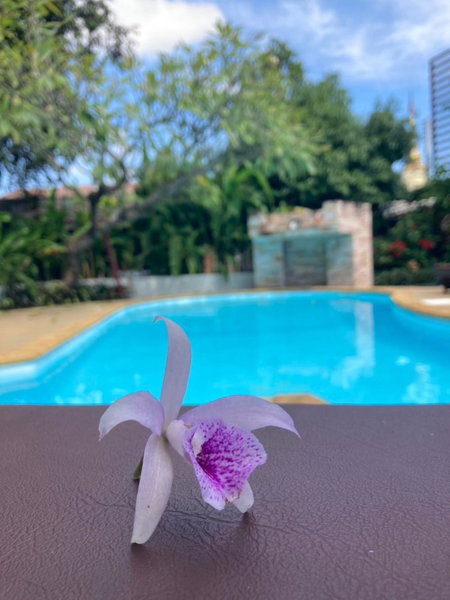 Wiriya House, Chiang Mai, Thailand