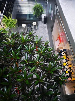 Get GuestHouse 2 ( Sangsri soi 4), Hat Yai, Thailand