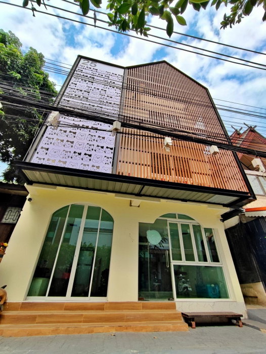 MiuMiu in da house., Chiang Mai, Thailand