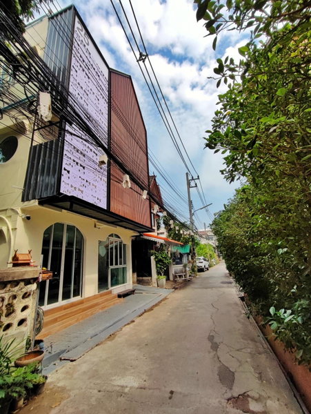 MiuMiu in da house., Chiang Mai, Thailand