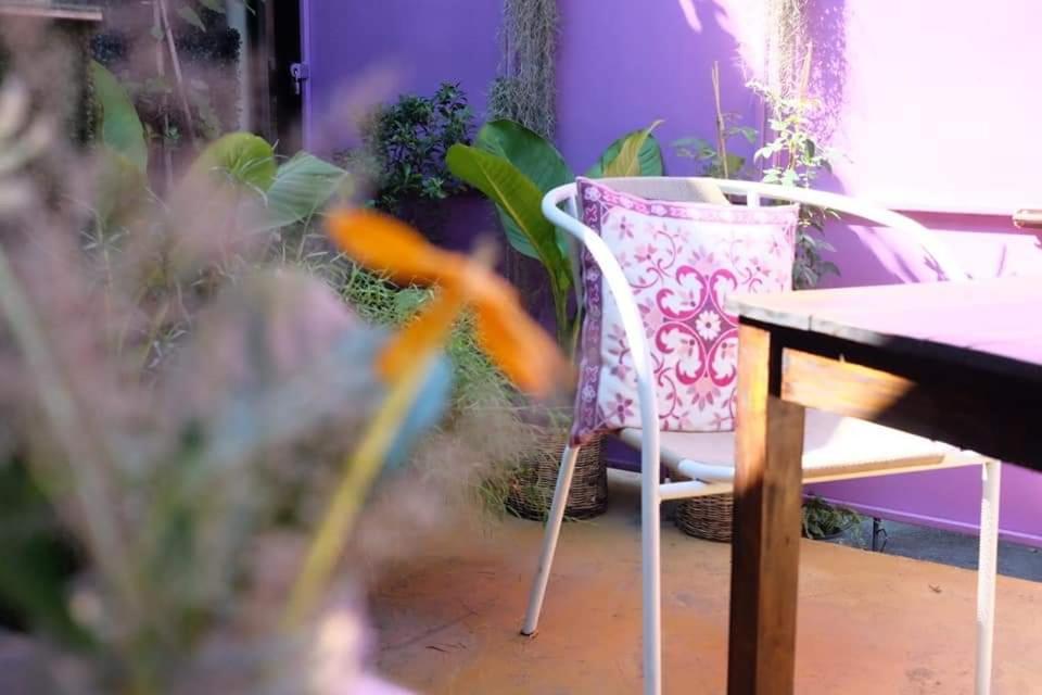 Hotel · Paapu House, Chiang Mai