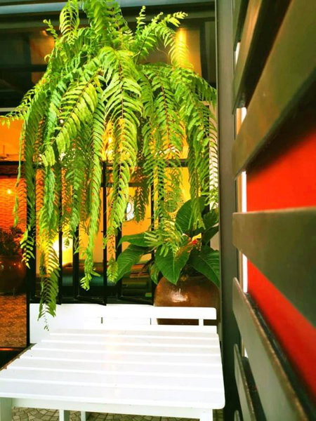 Beach Gallery House, Jomtien Beach, Thailand