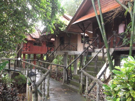 Bamboo House, Khao Sok, Thailand