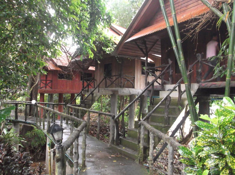 Bamboo House, Khao Sok, Thailand