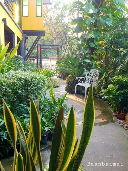 Baan Baimai Boutique Room, Phra Nakhon Si Ayutthaya, Thailand