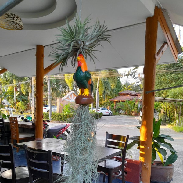 Khaolak Banana Bungalow, Khao Lak, Thailand